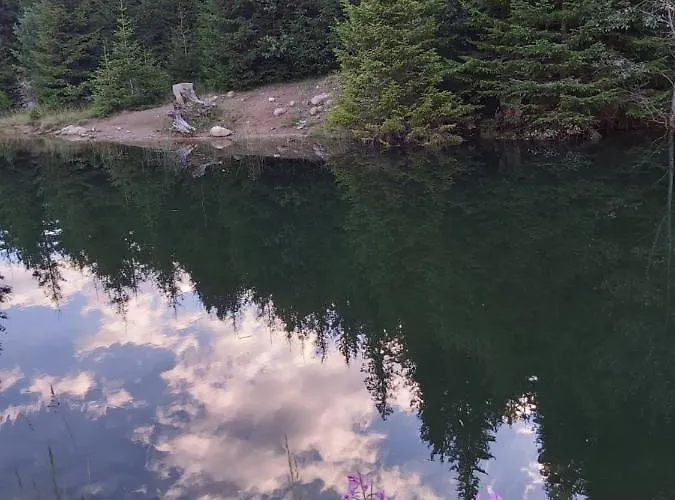 Snow Magic Grand Monastery * Pamporovo