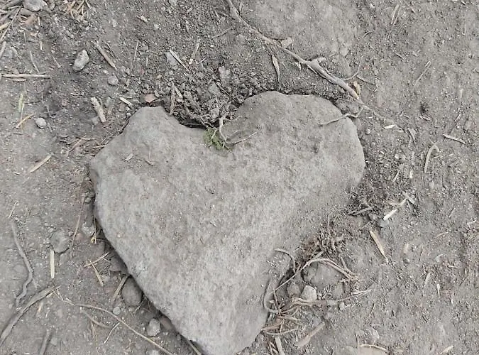 Snow Magic Grand Monastery * Pamporovo